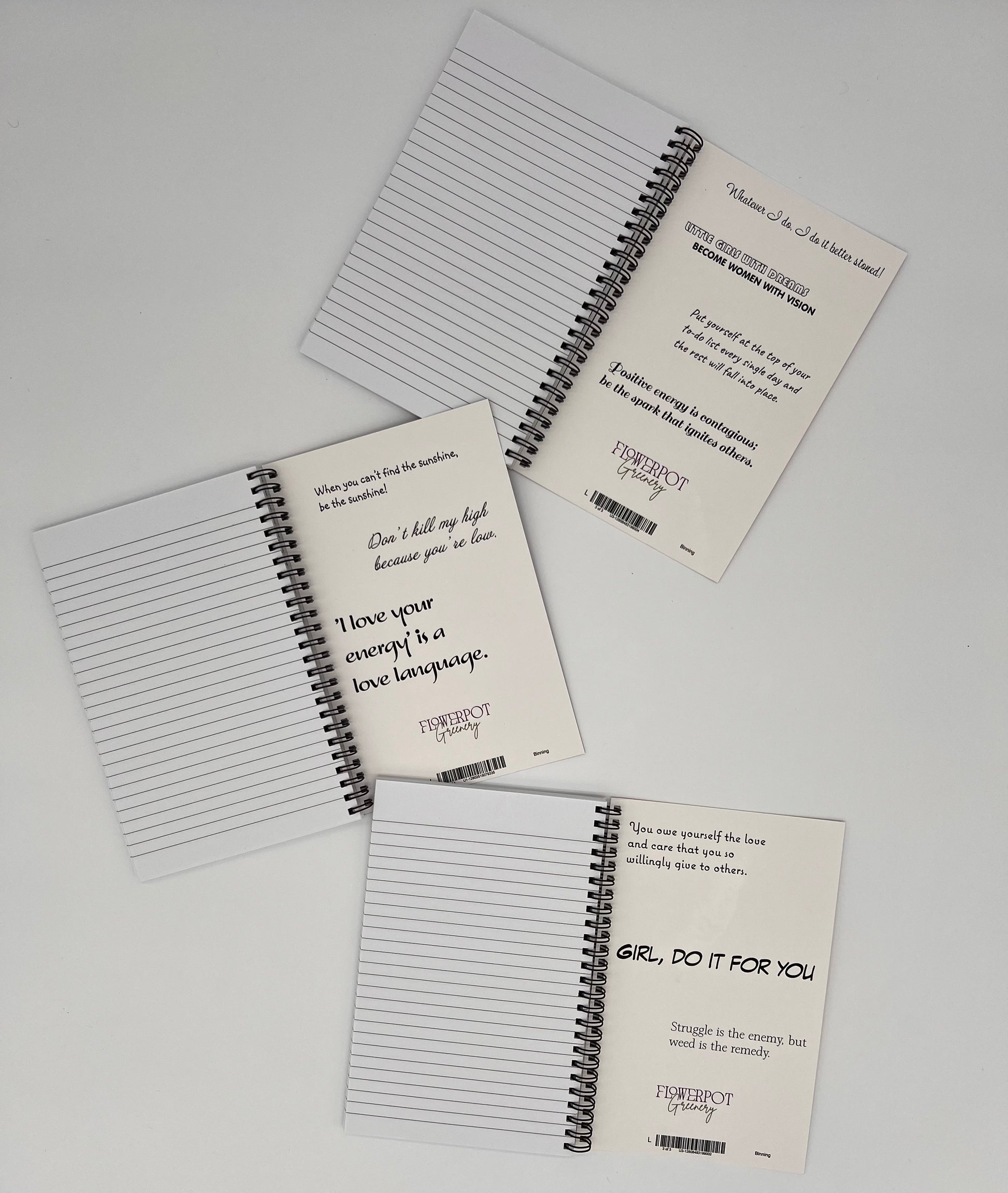 Cloud Chronicles Journal